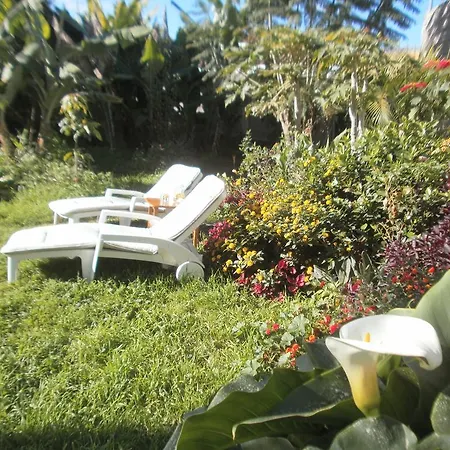 Finca Las Palmeras Icod De Los Vinos