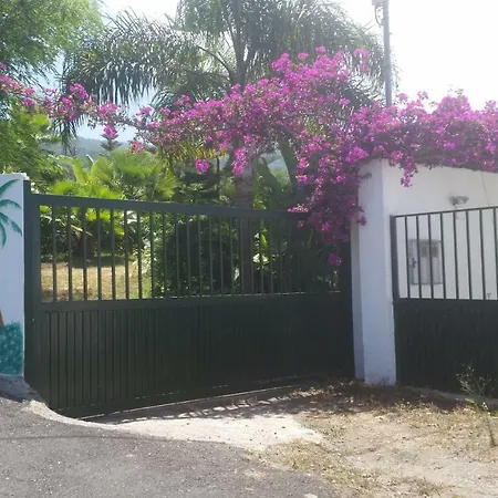 Palmeras Hébergement de vacances