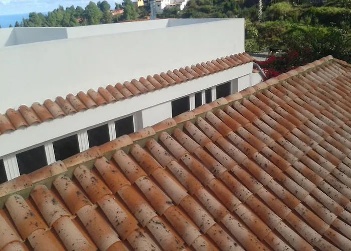 Feriehus Palmeras