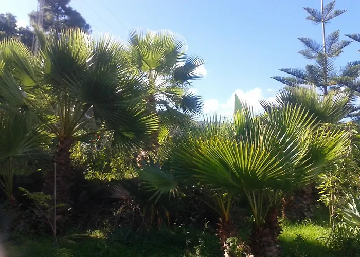 Palmeras Feriehus *
