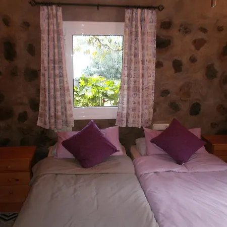 Palmeras Сasa de vacaciones