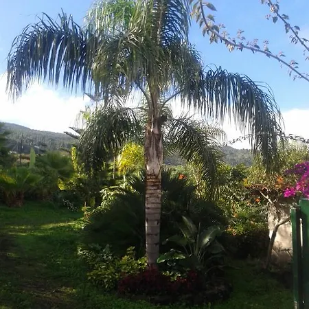 Palmeras Сasa de vacaciones Icod De Los Vinos