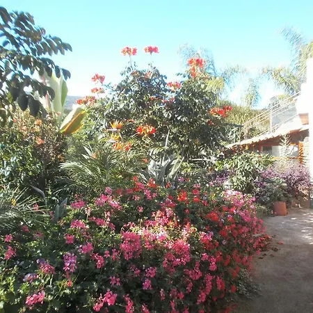 Finca Las Palmeras Ferienhaus